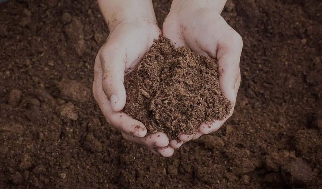 Vrijdag 7 februari 2025 Moestuin bemesting, grondonderzoek en bewateren