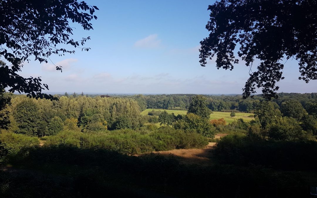 De Tankenberg